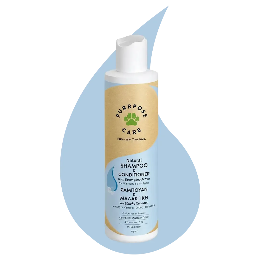 shampoo-conditioner